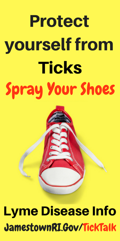 Protect yourself from ticks and spray your shoes flyer