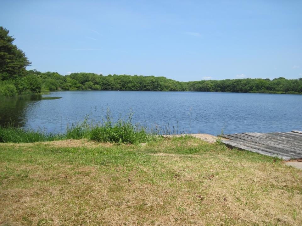 south pond